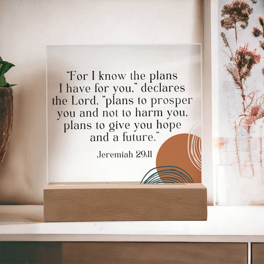 "I KNOW THE PLANS I HAVE FOR YOU" |  JEREMIAH 29:11 | ACRYLIC PLAQUE