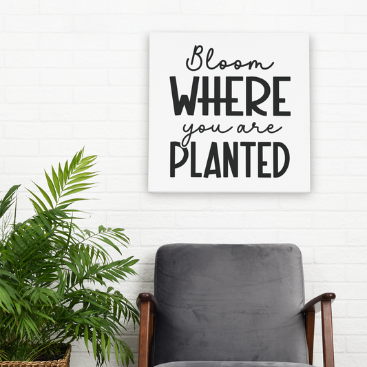 BLOOM WHERE YOU ARE PLANTED SQUARE CANVAS, Christian wall art